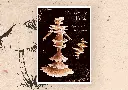 PRINT - MB (4).webp