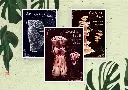 Prints - Fungi Serie