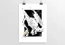 Print Dragon - Krokmou