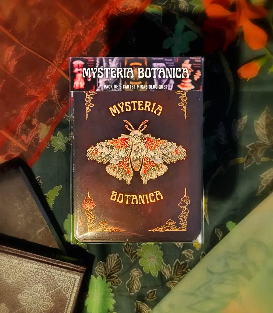 Pack de 5 cartes A6 - Mysteria Botanica