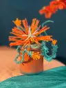 Curiosité en Pot - FeelinGarden