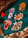 Stickers Champignons