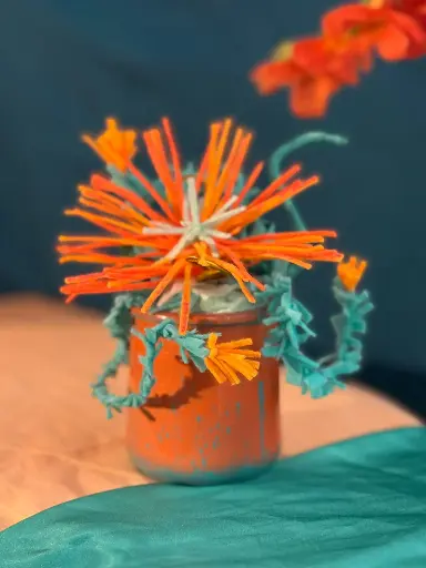 Curiosité en Pot - FeelinGarden